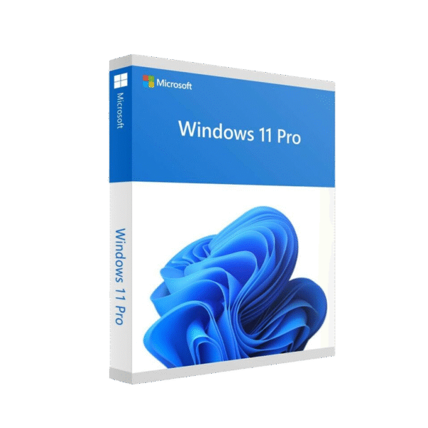 Microsoft Win 11 Pro 64Bit French 1pk DSP OEI DVD